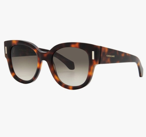 Ferragamo Sunglasses 37H60