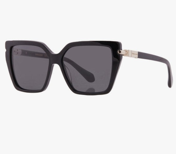 Ferragamo Sunglasses 52H60