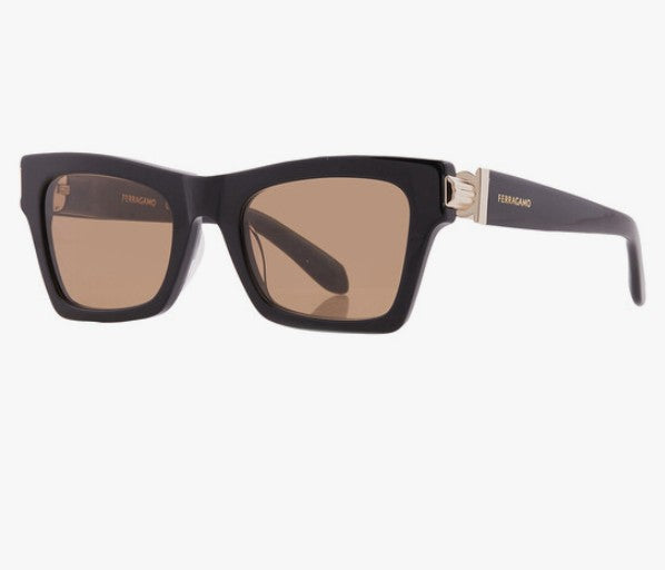 Ferragamo Sunglasses 33H60