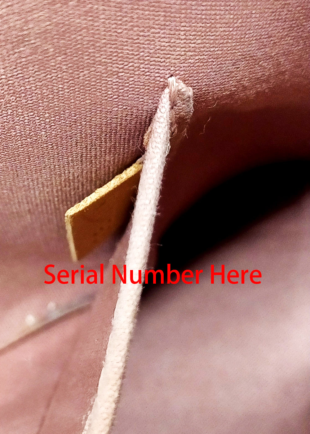 Louis Vuitton Monogram Vernis Alma BB Brown