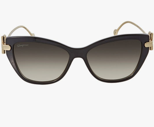 Ferragamo Sunglasses 46H60