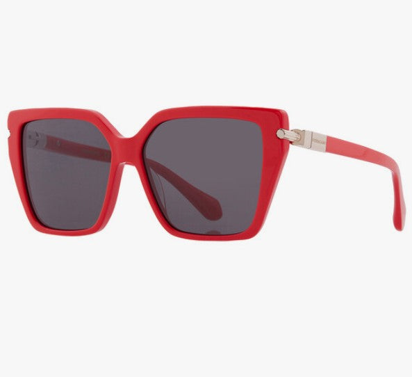 Ferragamo Sunglasses 36H60