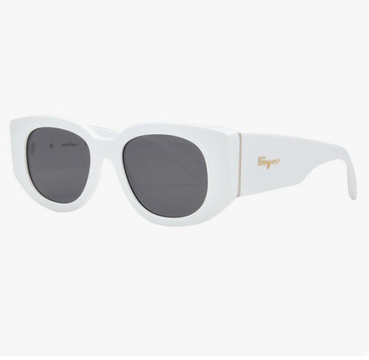 Ferragamo Sunglasses 66H60