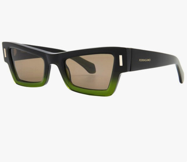 Ferragamo Sunglasses 49H60