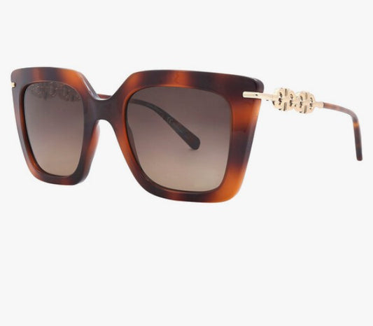 Ferragamo Sunglasses 60H60
