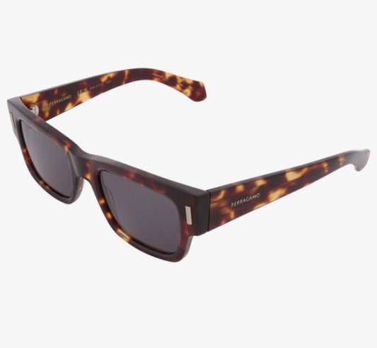 Ferragamo Sunglasses 53H60