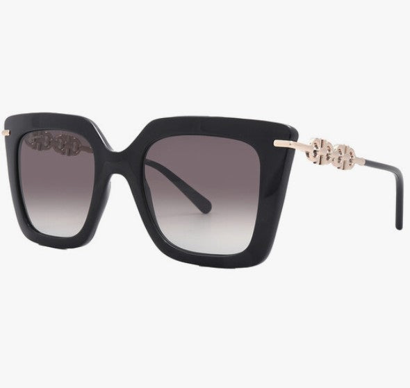 Ferragamo Sunglasses 61H60